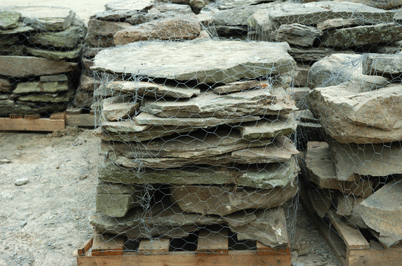 Pennsylvania Steppers