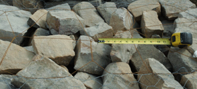 Shenandoah Snapped Veneer