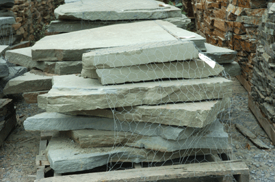 Old Colonial Steppers