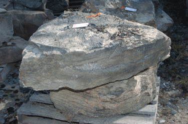 Pennsylvania Mountain Boulders