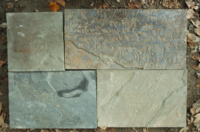 Pennsylvania Variegated Colors