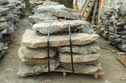 Shennandoah Steppers