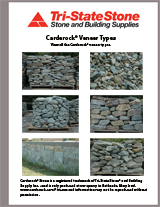 Carderock® Veneer Types Brochure