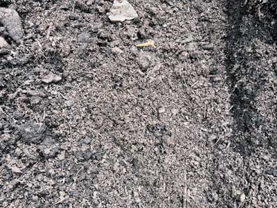 Bulk Compost