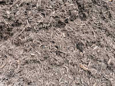 Bulk Shredded Mulch