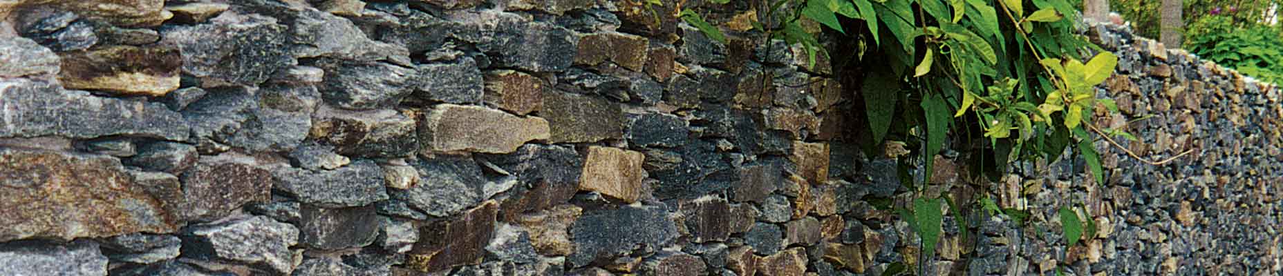 Carderock® Veneer Wallstone