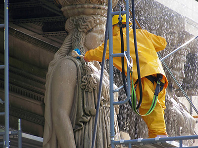 D2 biological cleaner non toxic biodegradable safer around plants and wildlife