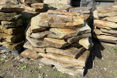 Western Maryland Steppers